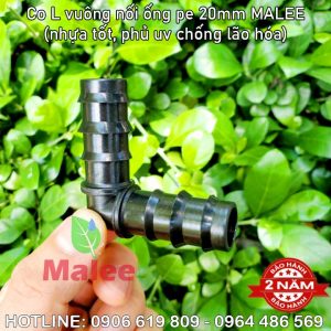 Co L 90 độ nối ống 20ly Malee