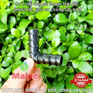 Co L 90 độ nối ống 16ly Malee