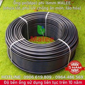 Ống tưới cây pe phi 16ly Malee