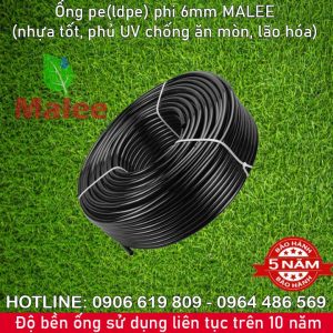 Ống tưới cây 6ly pe Malee