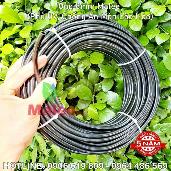 Ống tưới cây phun sương 8mm Malee